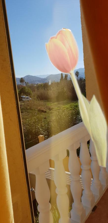 Apartamento Mar Y Sol, Denia Bagian luar foto